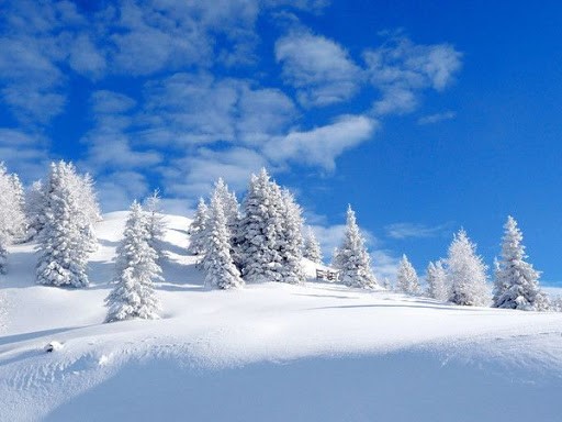 6 novembre