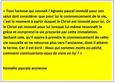 Encadre20