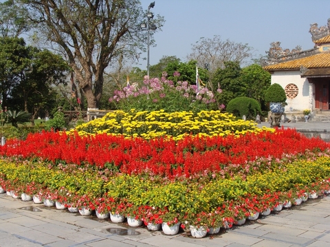 Fleurs2