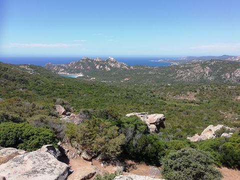 maquis Corse reduit